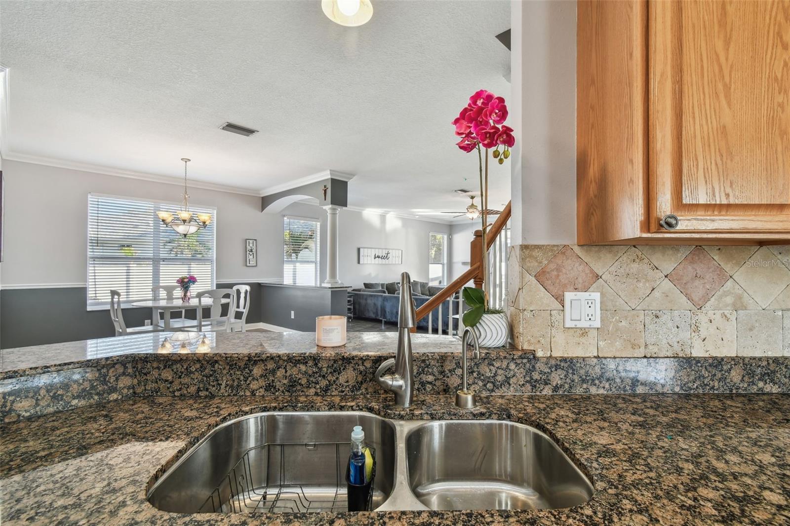 18034 LAKE REFLECTIONS BLVD, LUTZ, FL, 33558