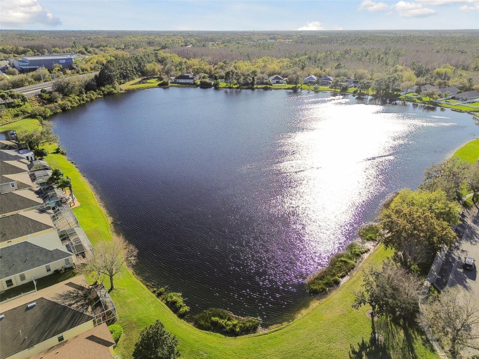 18034 LAKE REFLECTIONS BLVD, LUTZ, FL, 33558