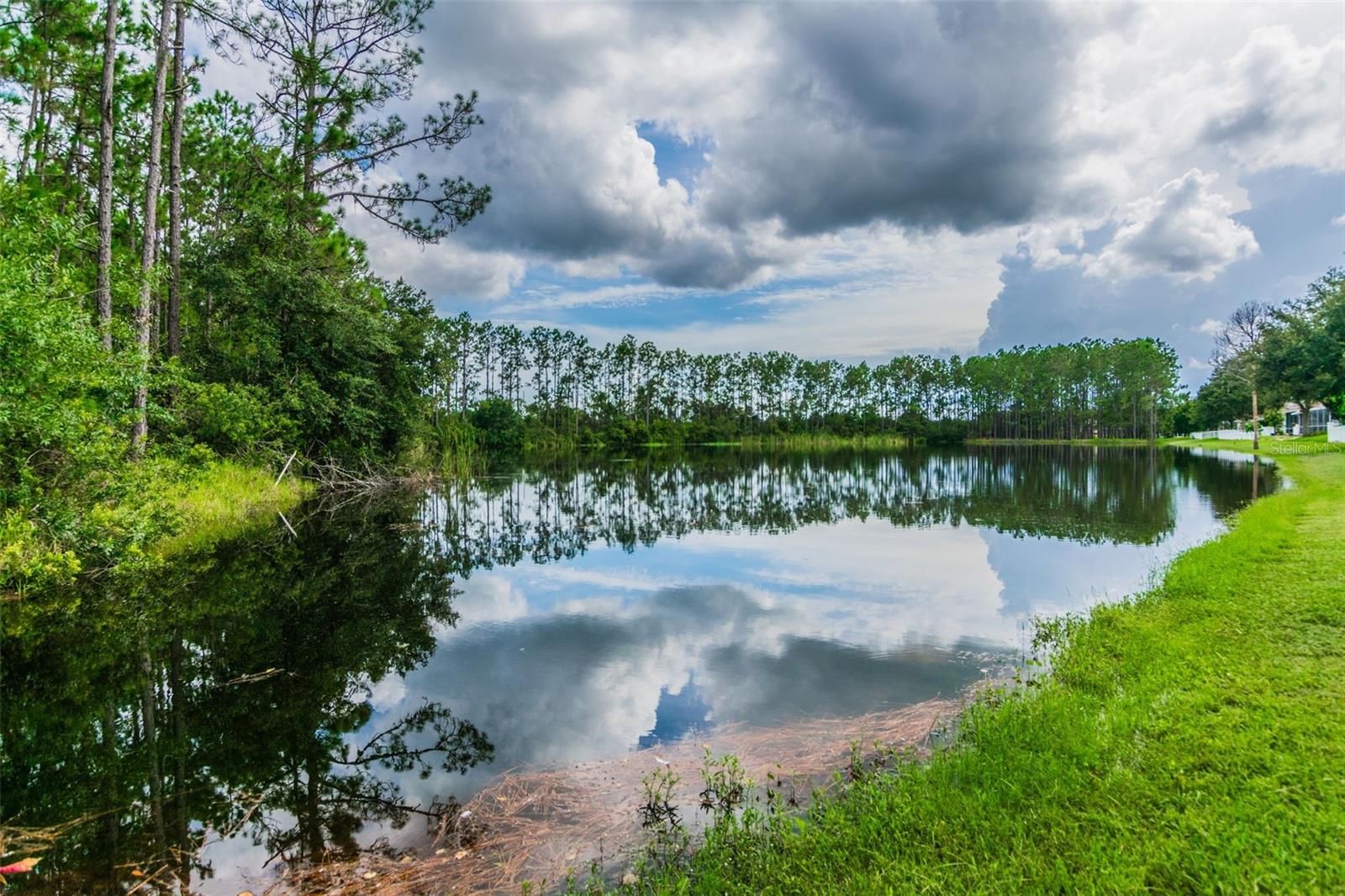 18034 LAKE REFLECTIONS BLVD, LUTZ, FL, 33558