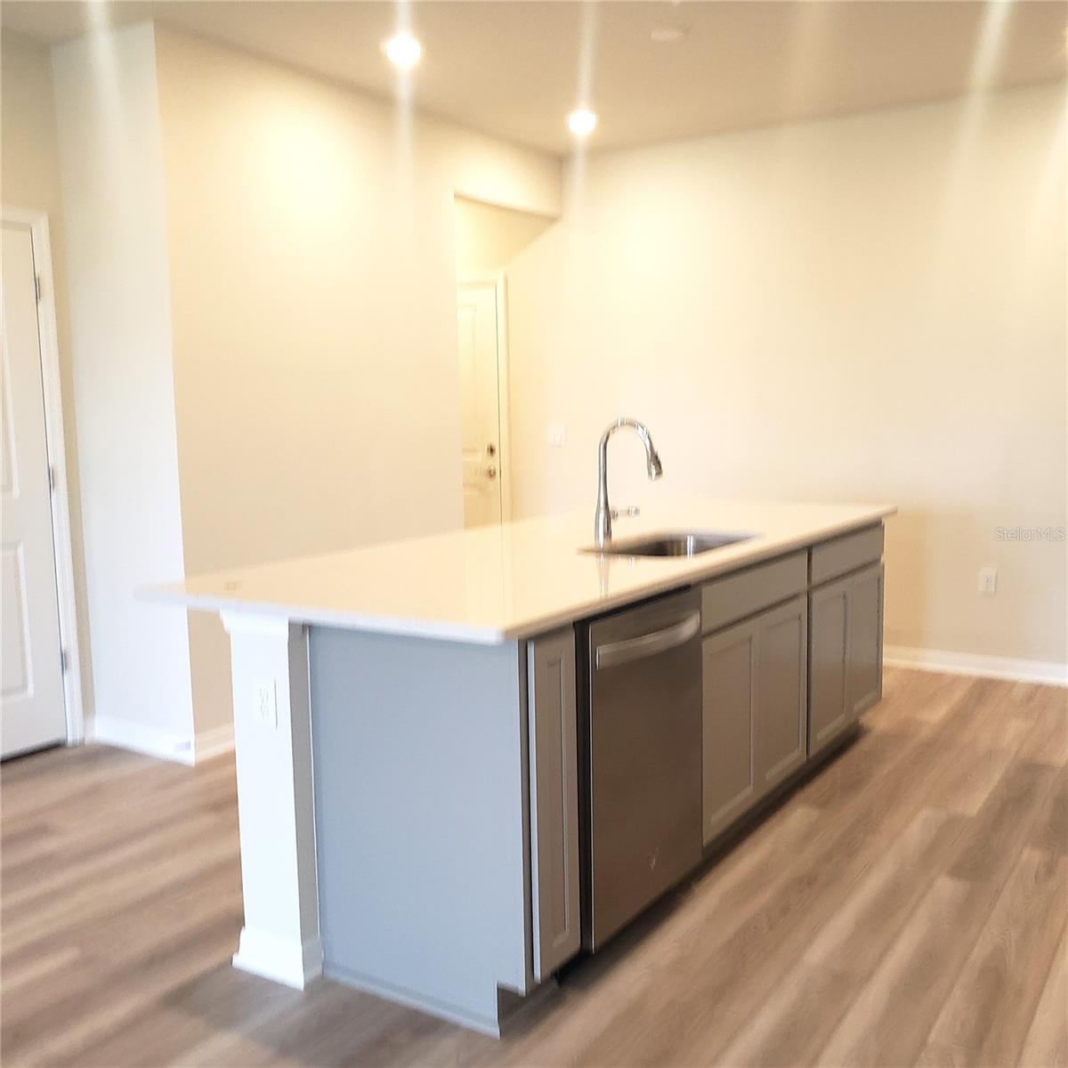 6316 TABEBUIA PKWY, WINTER GARDEN, FL, 34787