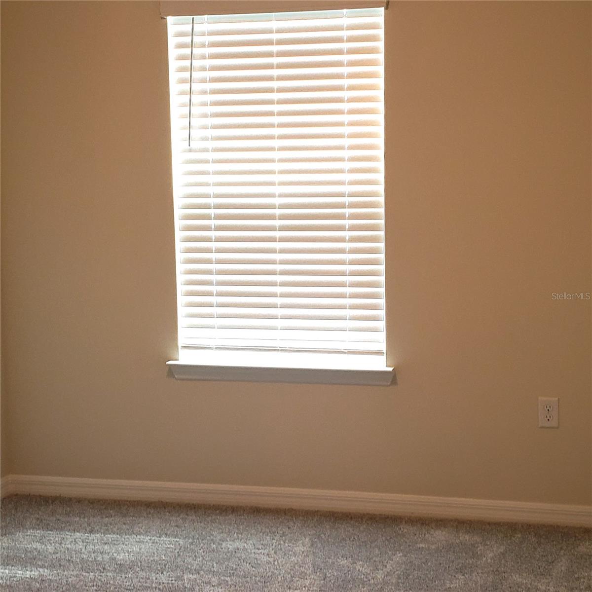 6316 TABEBUIA PKWY, WINTER GARDEN, FL, 34787