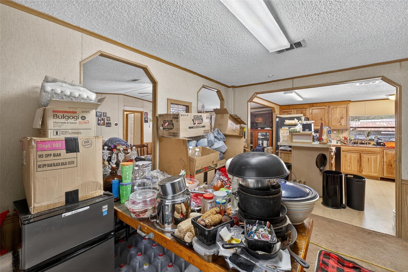 6163 CEDRIC ST, DADE CITY, FL, 33523