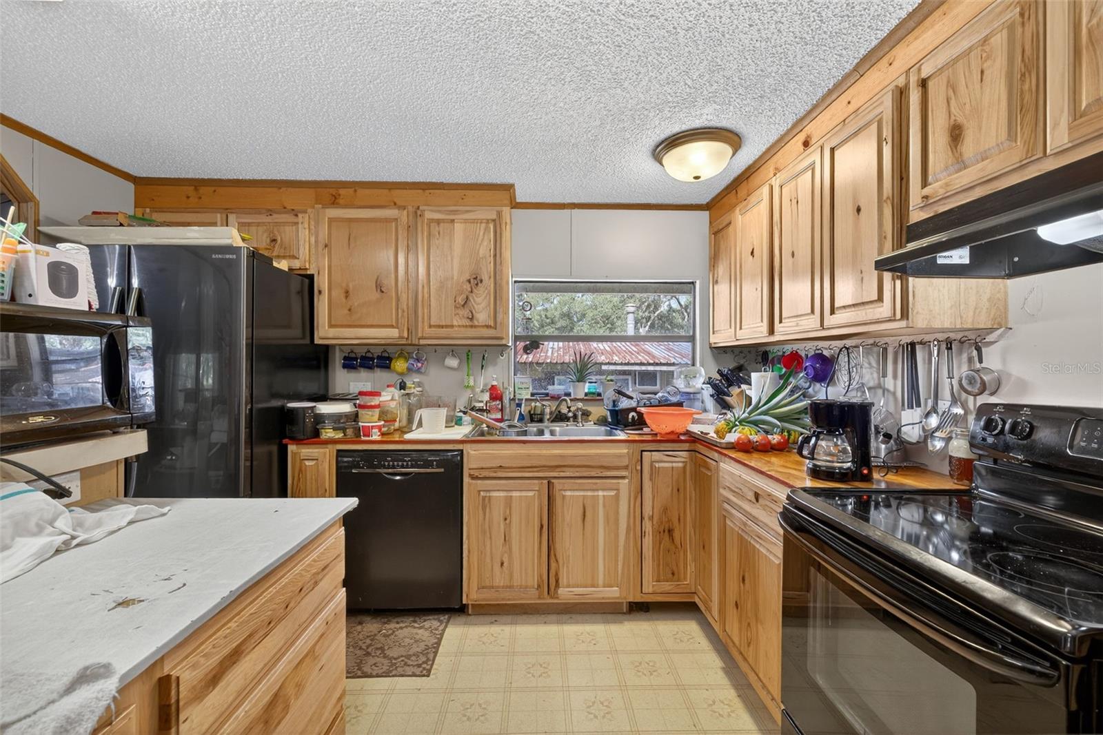 6163 CEDRIC ST, DADE CITY, FL, 33523