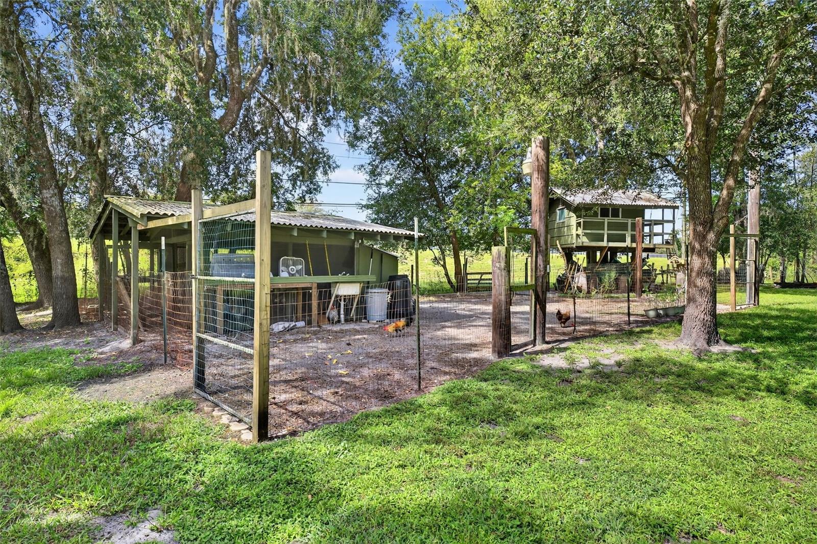 6163 CEDRIC ST, DADE CITY, FL, 33523