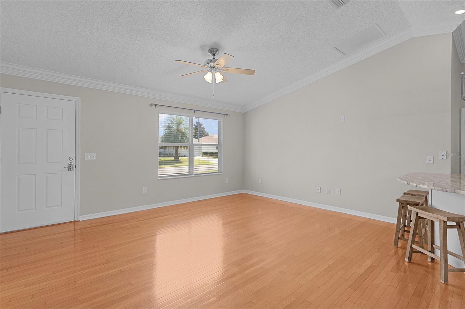 1485 MURRELLS INLET LOOP, THE VILLAGES, FL, 32162