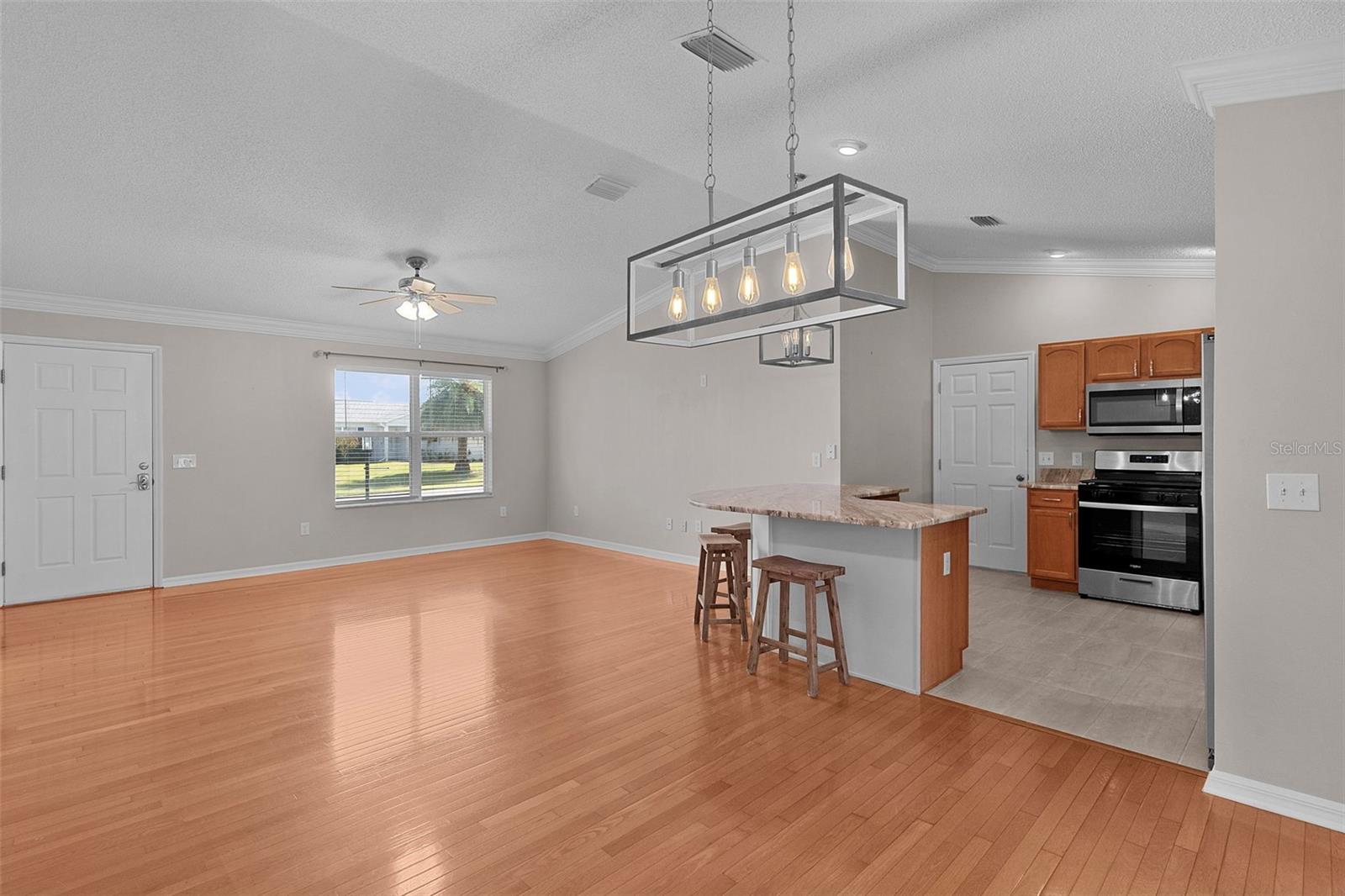 1485 MURRELLS INLET LOOP, THE VILLAGES, FL, 32162