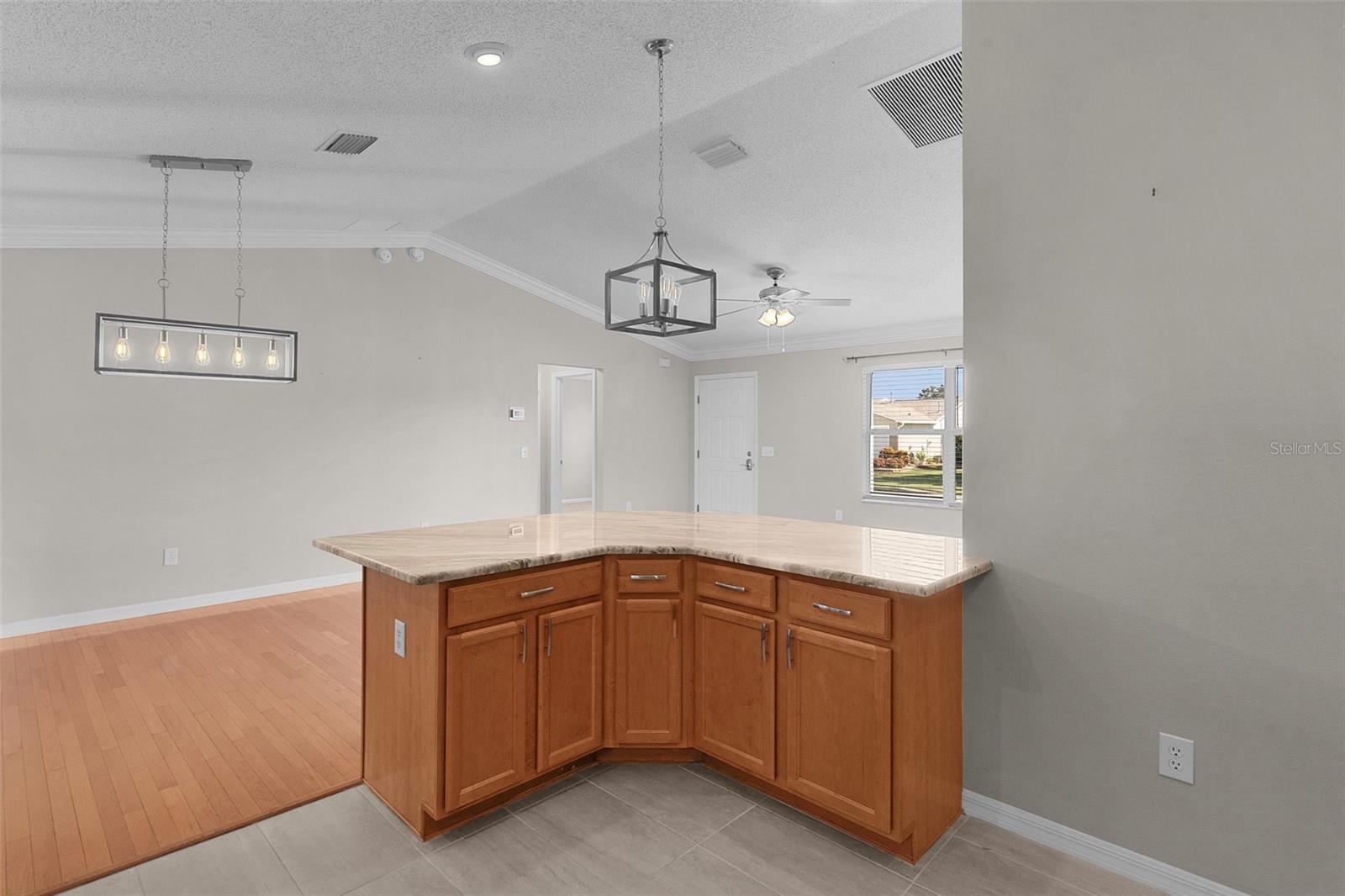 1485 MURRELLS INLET LOOP, THE VILLAGES, FL, 32162