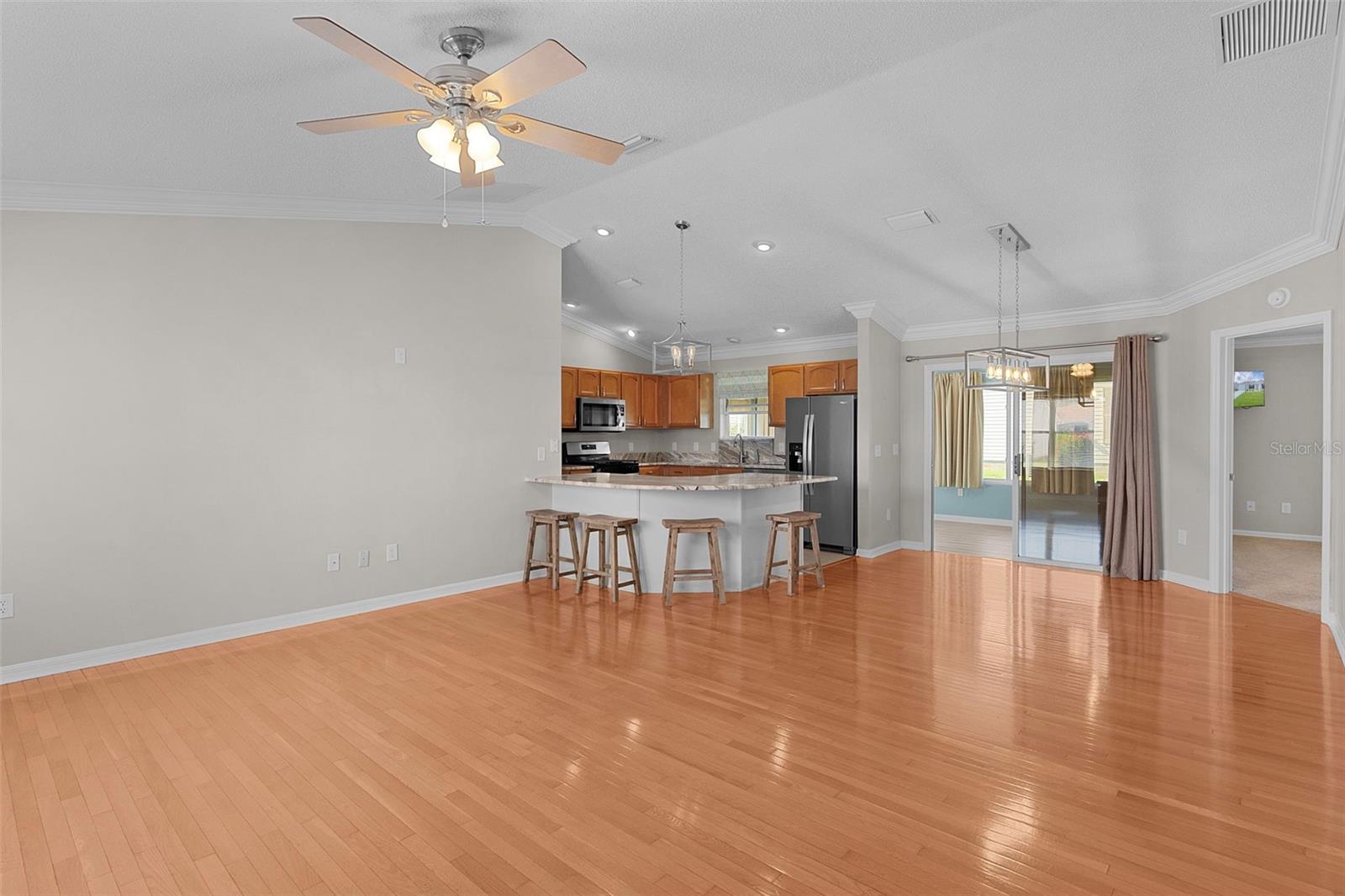 1485 MURRELLS INLET LOOP, THE VILLAGES, FL, 32162