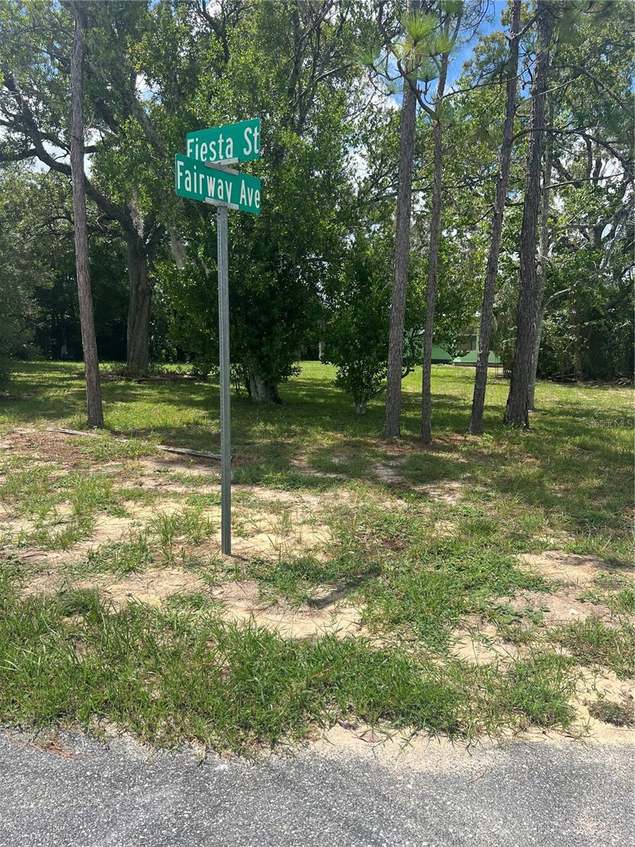 12136 FAIRWAY AVE, BROOKSVILLE, FL, 34613