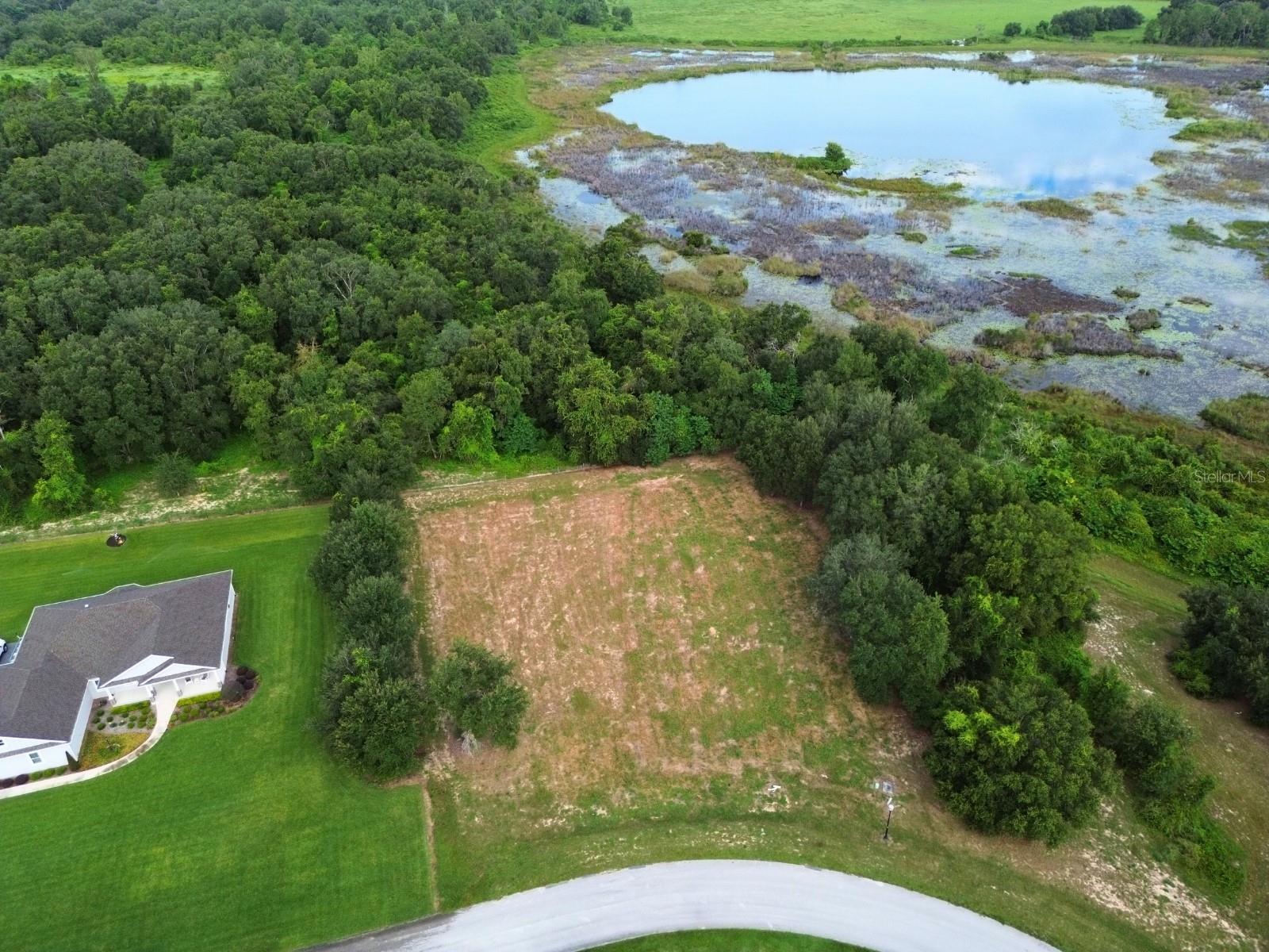 18307 GREAT BLUE HERON DR, GROVELAND, FL, 34736