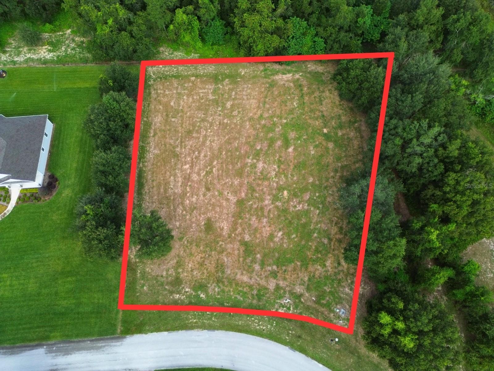 18307 GREAT BLUE HERON DR, GROVELAND, FL, 34736