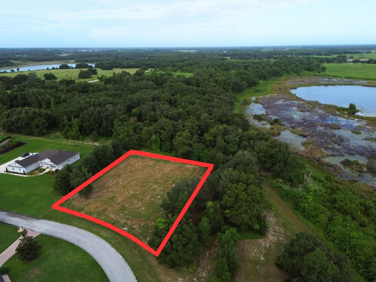 18307 GREAT BLUE HERON DR, GROVELAND, FL, 34736