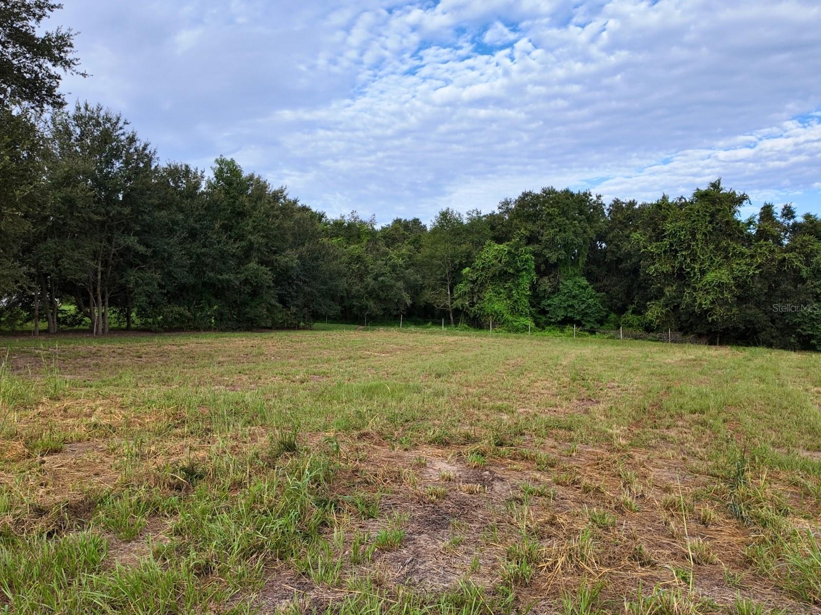 18307 GREAT BLUE HERON DR, GROVELAND, FL, 34736