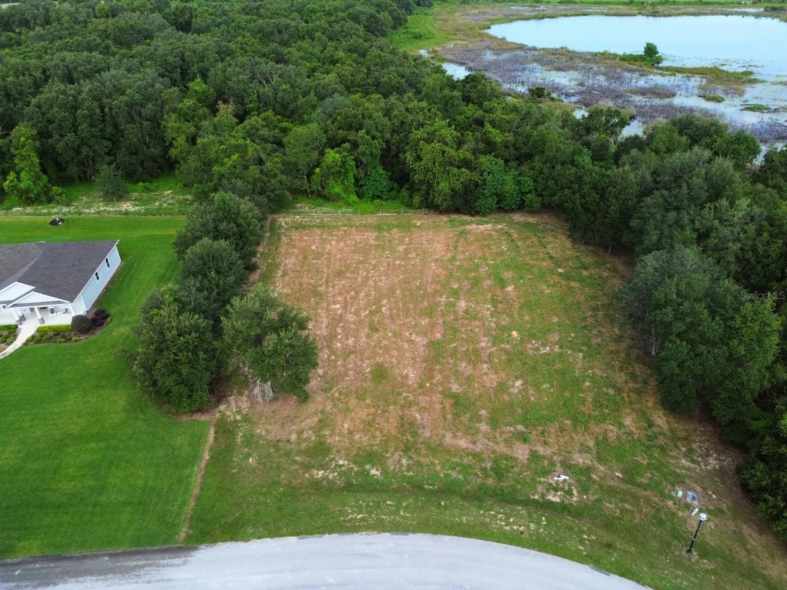 18307 GREAT BLUE HERON DR, GROVELAND, FL, 34736