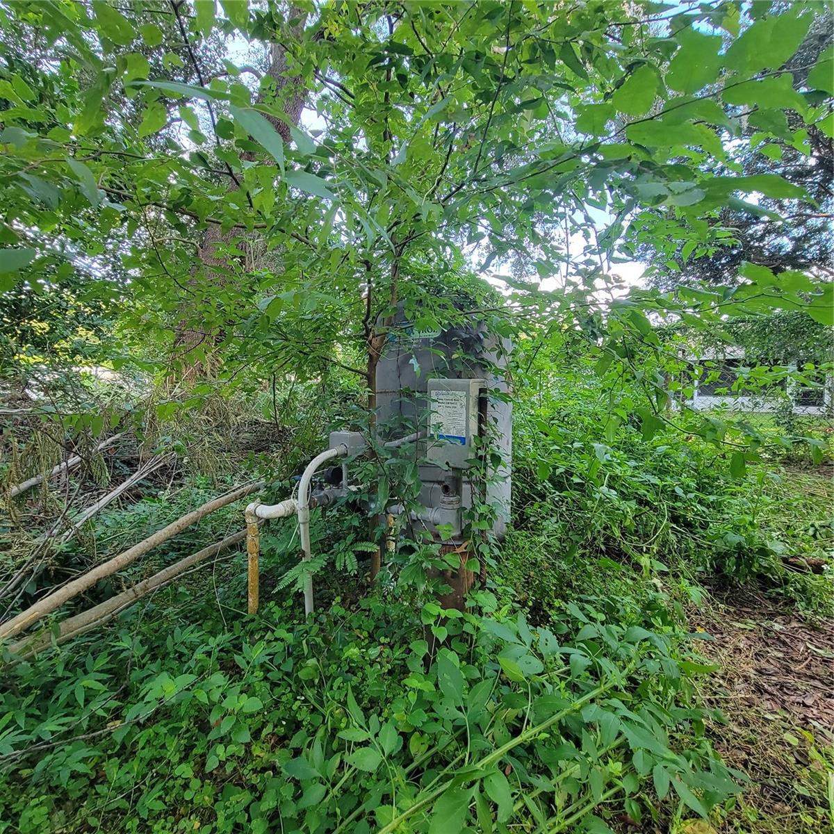 3985 SE 138TH PL, SUMMERFIELD, FL, 34491