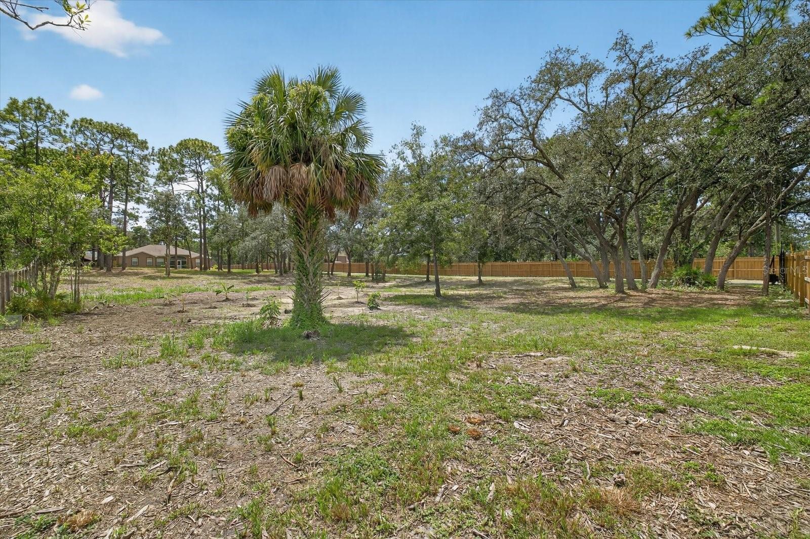 9078 BIRMINGHAM AVE, WEEKI WACHEE, FL, 34613