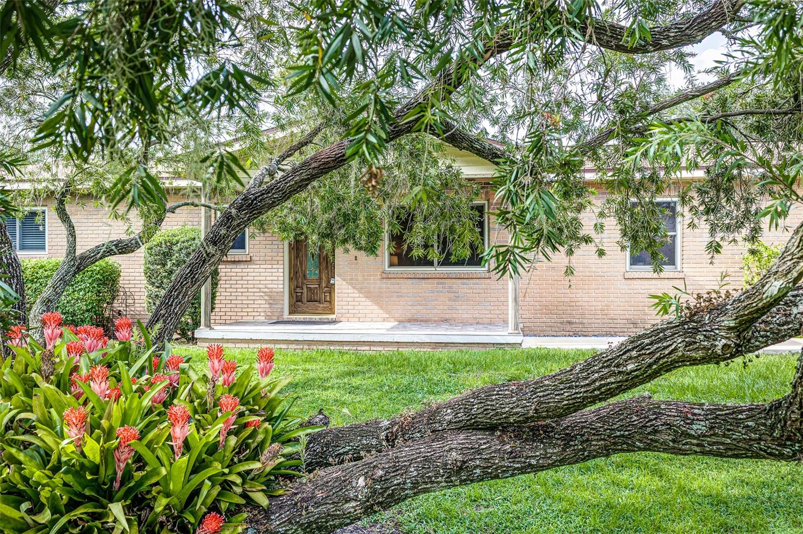 319 WILDER RD, LAKELAND, FL, 33809