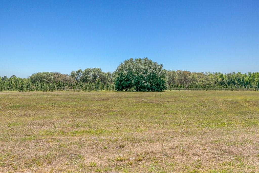 641 E STATE ROAD 100, SAN MATEO, FL, 32187