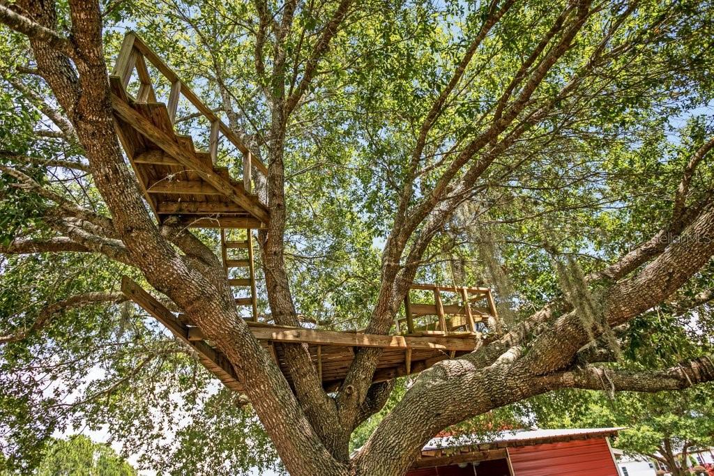 641 E STATE ROAD 100, SAN MATEO, FL, 32187