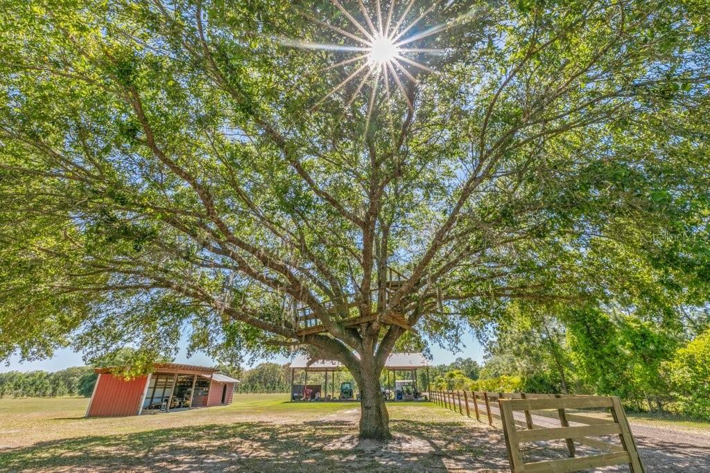 641 E STATE ROAD 100, SAN MATEO, FL, 32187