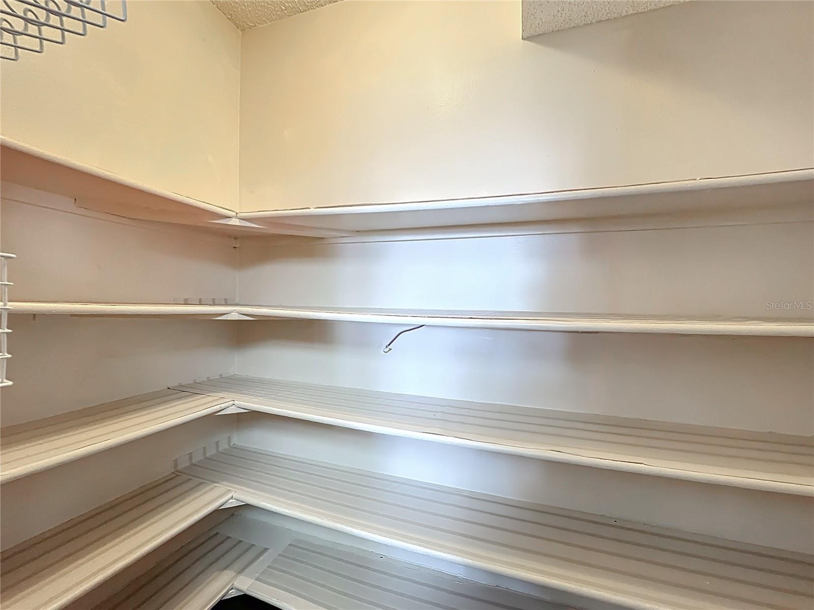 35312 W GRIFFIN DR, FRUITLAND PARK, FL, 34731