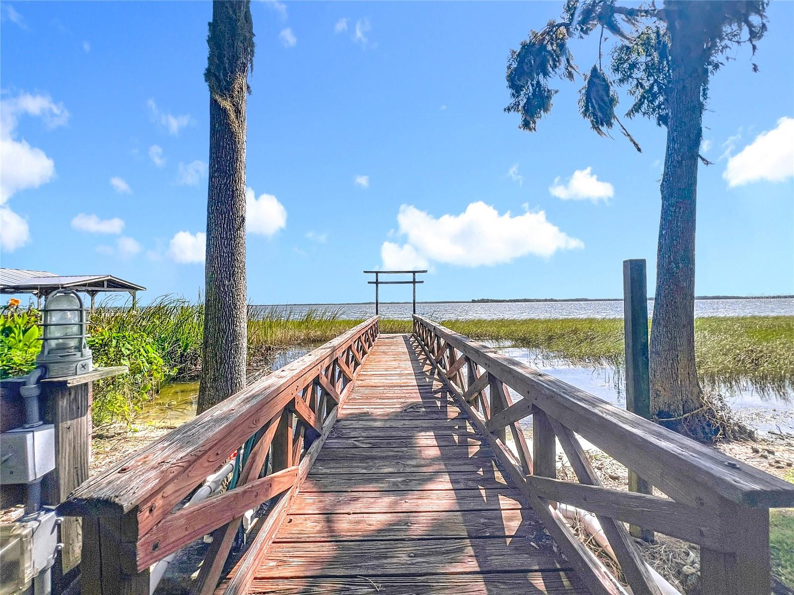 35312 W GRIFFIN DR, FRUITLAND PARK, FL, 34731