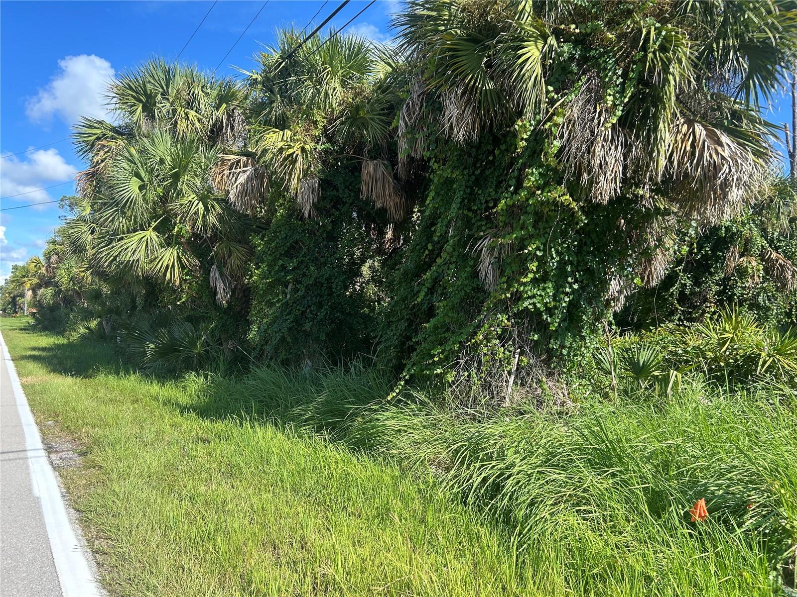 9041 FRUITLAND AVE, ENGLEWOOD, FL, 34224