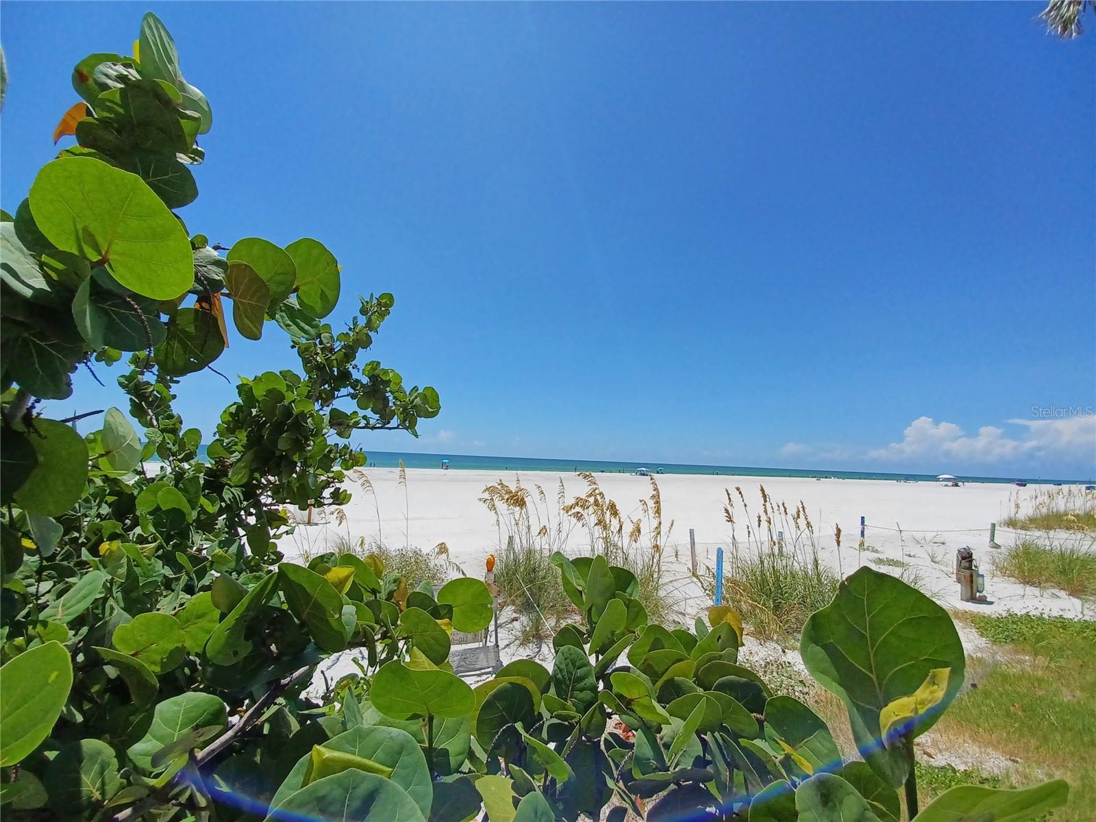 17960 GULF BLVD #118, REDINGTON SHORES, FL, 33708
