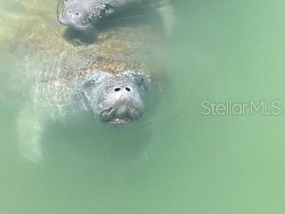 903 PINELLAS BAYWAY S #104, TIERRA VERDE, FL, 33715