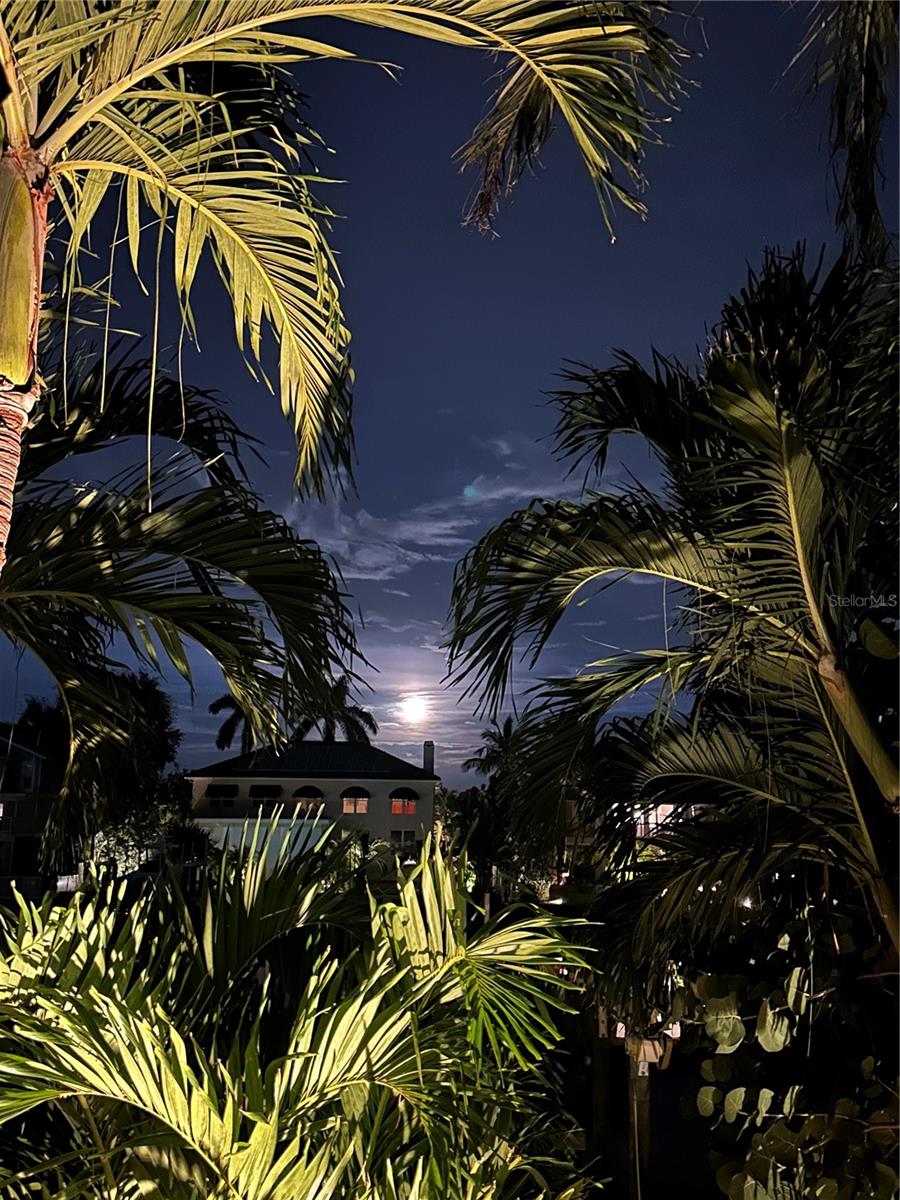 903 PINELLAS BAYWAY S #104, TIERRA VERDE, FL, 33715