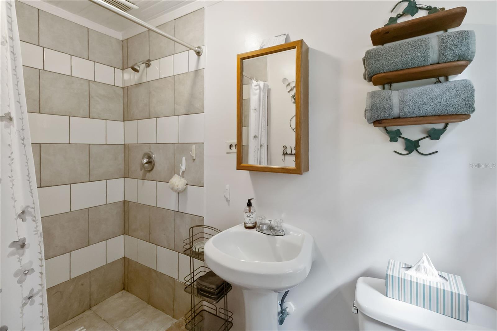 245 N CENTRAL AVE, APOPKA, FL, 32703