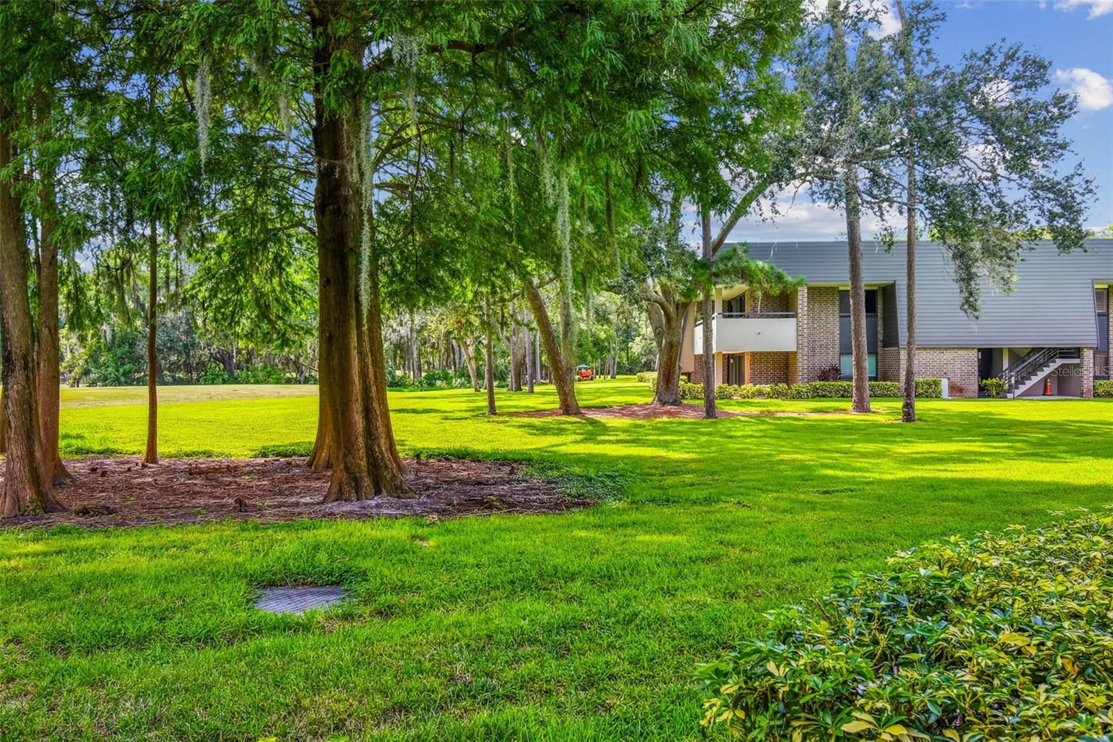 36750 US HIGHWAY 19 N #01113, PALM HARBOR, FL, 34684