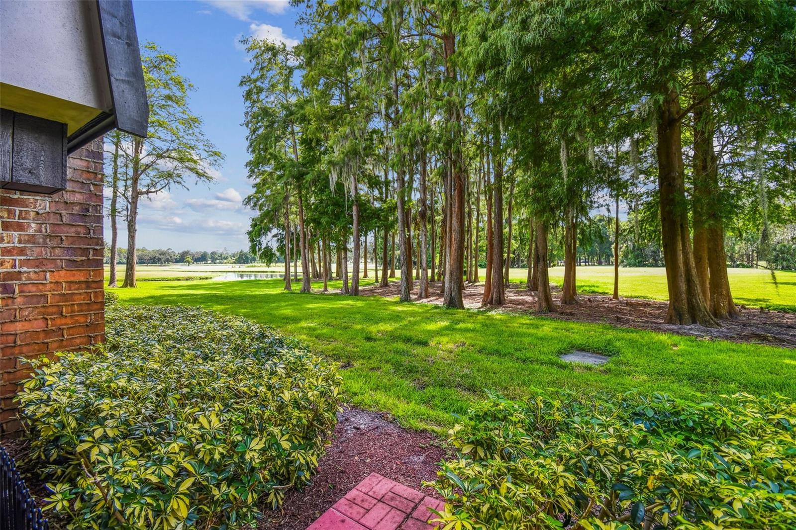 36750 US HIGHWAY 19 N #01113, PALM HARBOR, FL, 34684