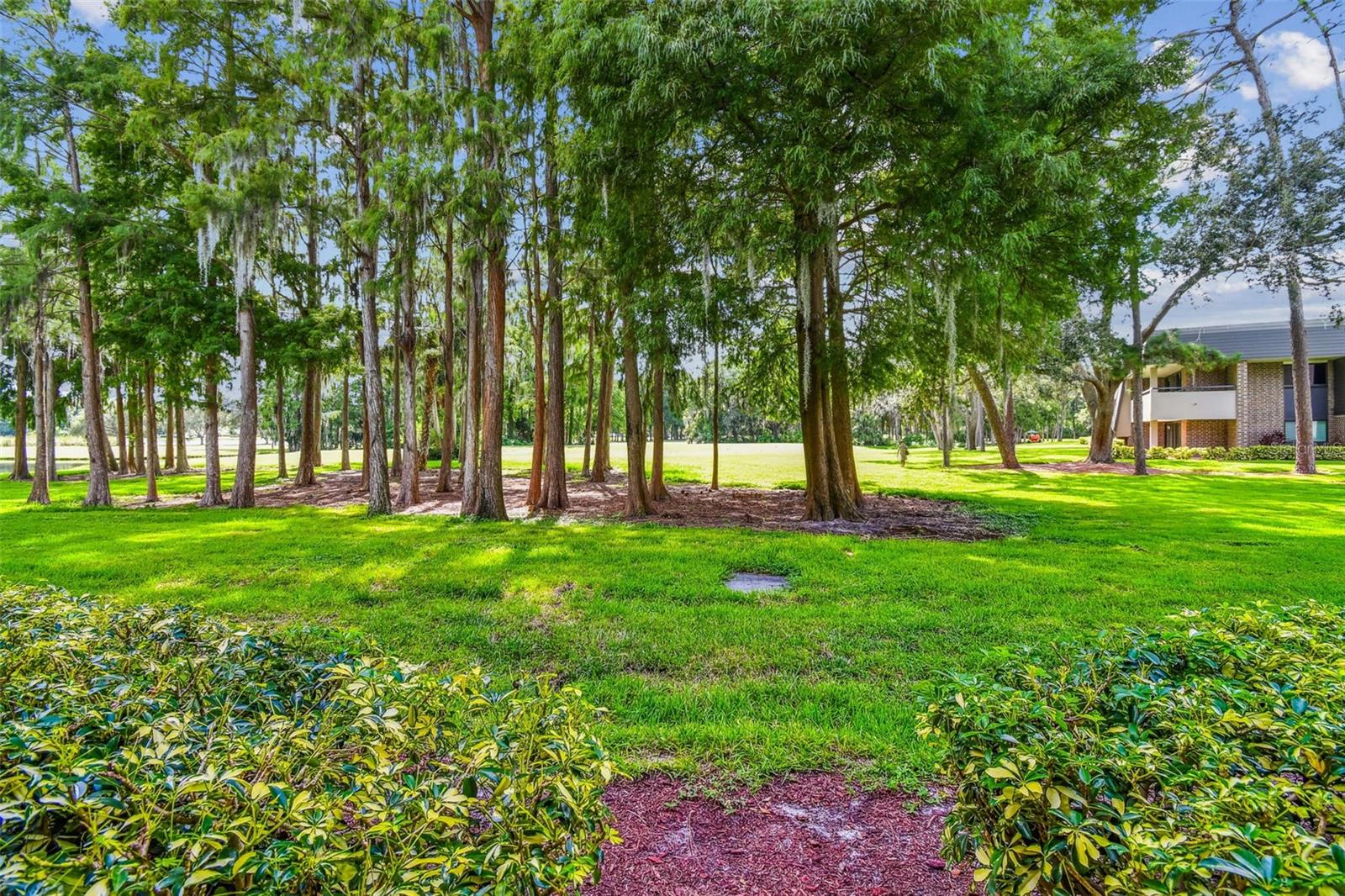 36750 US HIGHWAY 19 N #01113, PALM HARBOR, FL, 34684