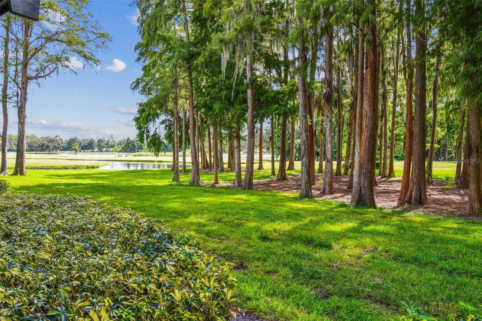 36750 US HIGHWAY 19 N #01113, PALM HARBOR, FL, 34684