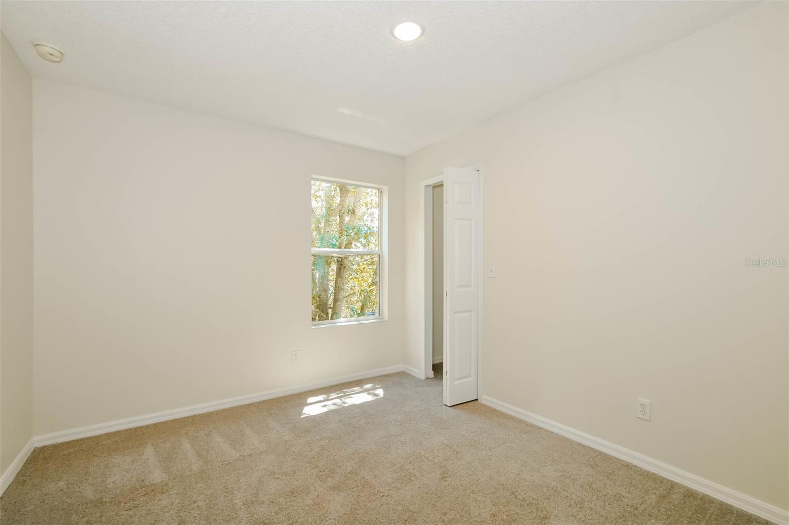 2046 NEWTOWN RD, GROVELAND, FL, 34736