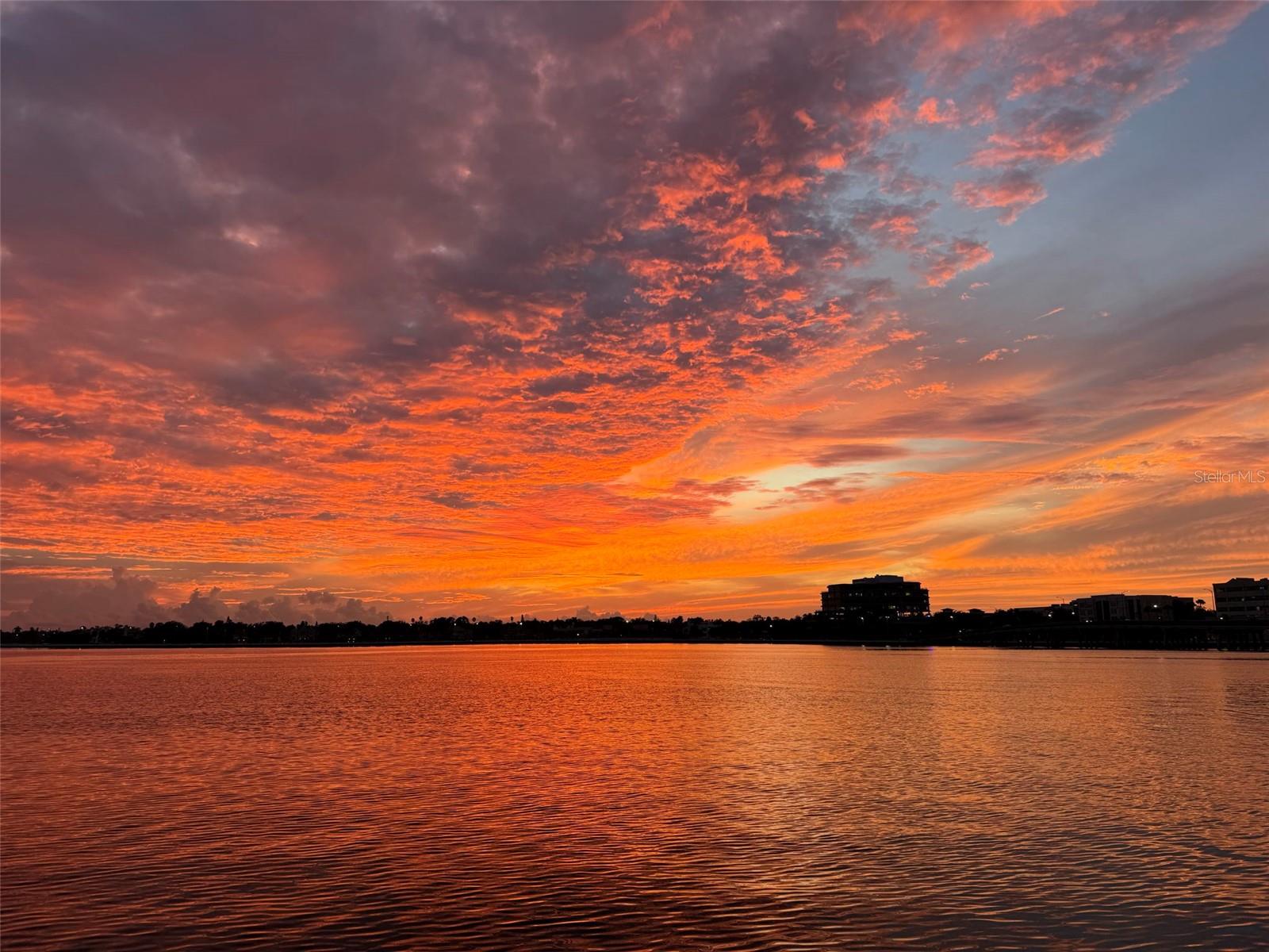 24 ADALIA AVE, TAMPA, FL, 33606