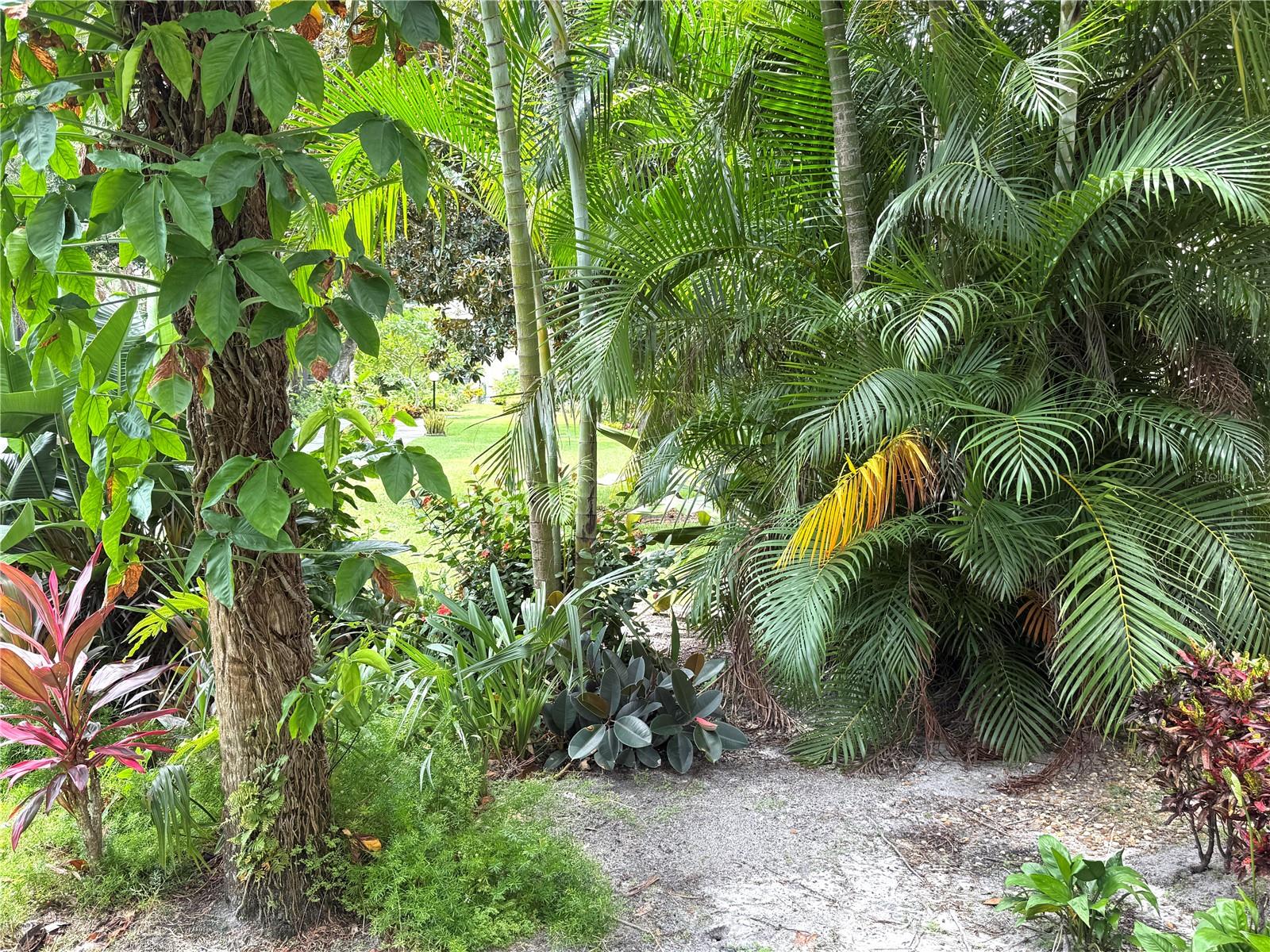 315 30TH AVE W #101B, BRADENTON, FL, 34205