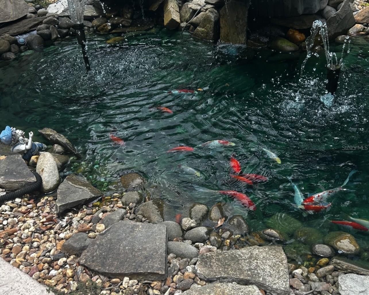 3894 S EMMA JANE TER, HOMOSASSA, FL, 34448