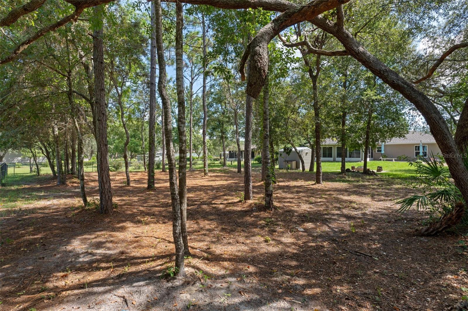 3894 S EMMA JANE TER, HOMOSASSA, FL, 34448