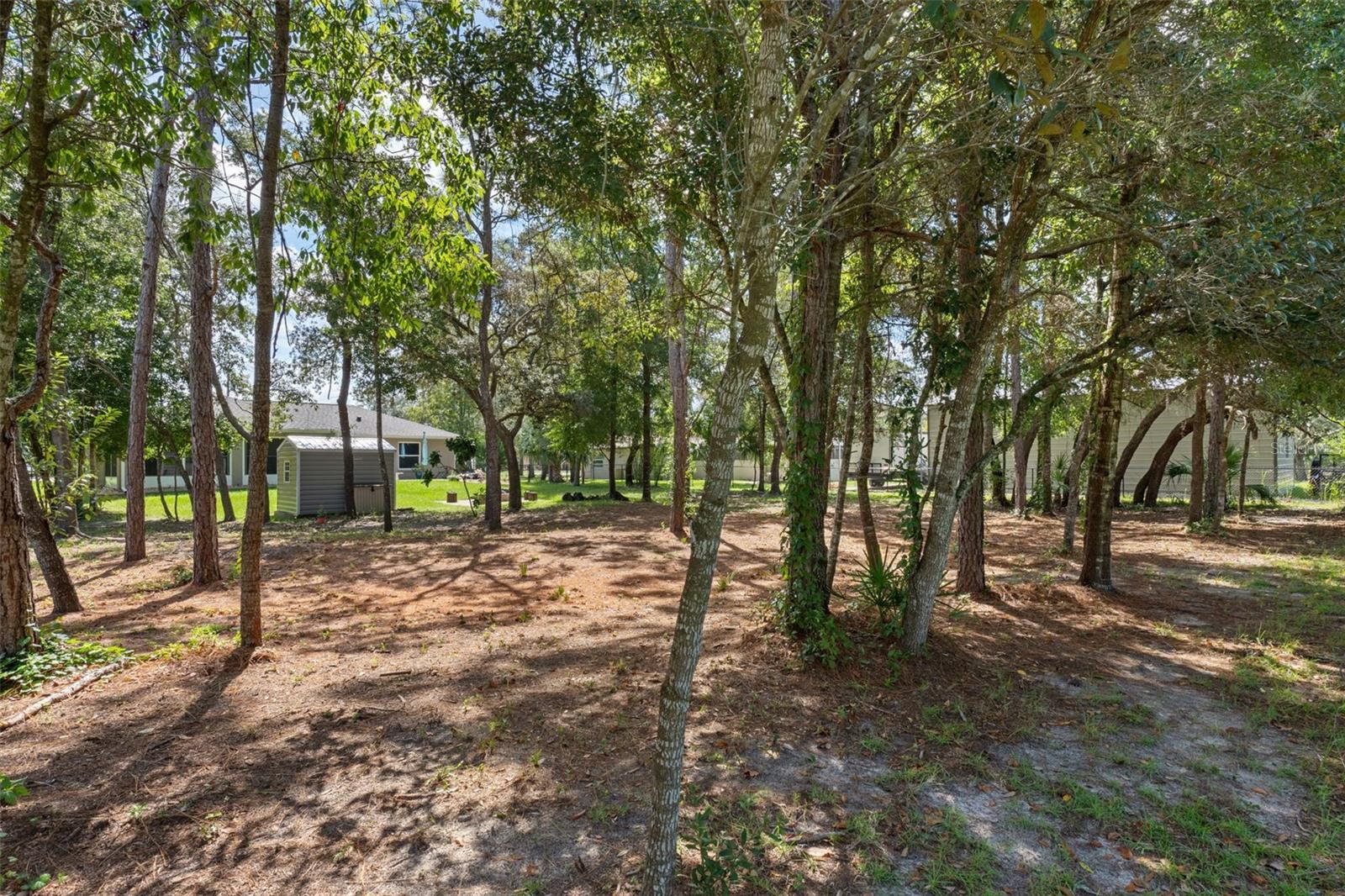 3894 S EMMA JANE TER, HOMOSASSA, FL, 34448