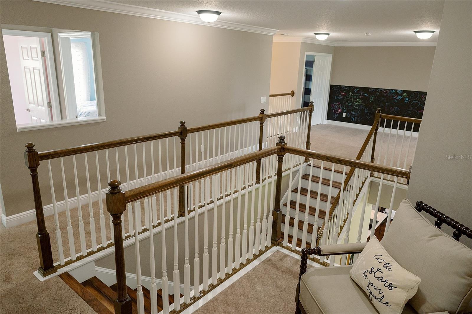 1970 FOX GRAPE LOOP, LUTZ, FL, 33558