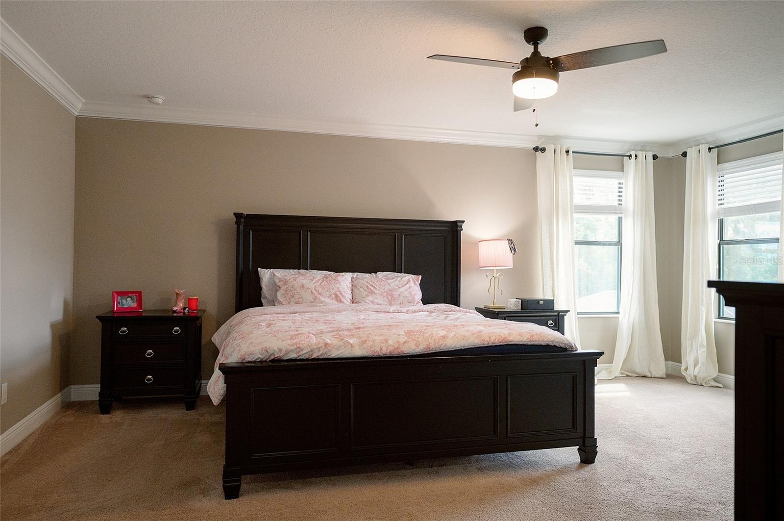 1970 FOX GRAPE LOOP, LUTZ, FL, 33558