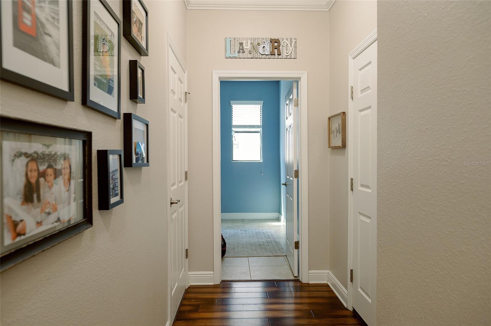 1970 FOX GRAPE LOOP, LUTZ, FL, 33558