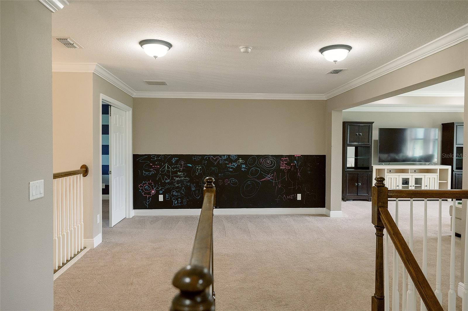 1970 FOX GRAPE LOOP, LUTZ, FL, 33558