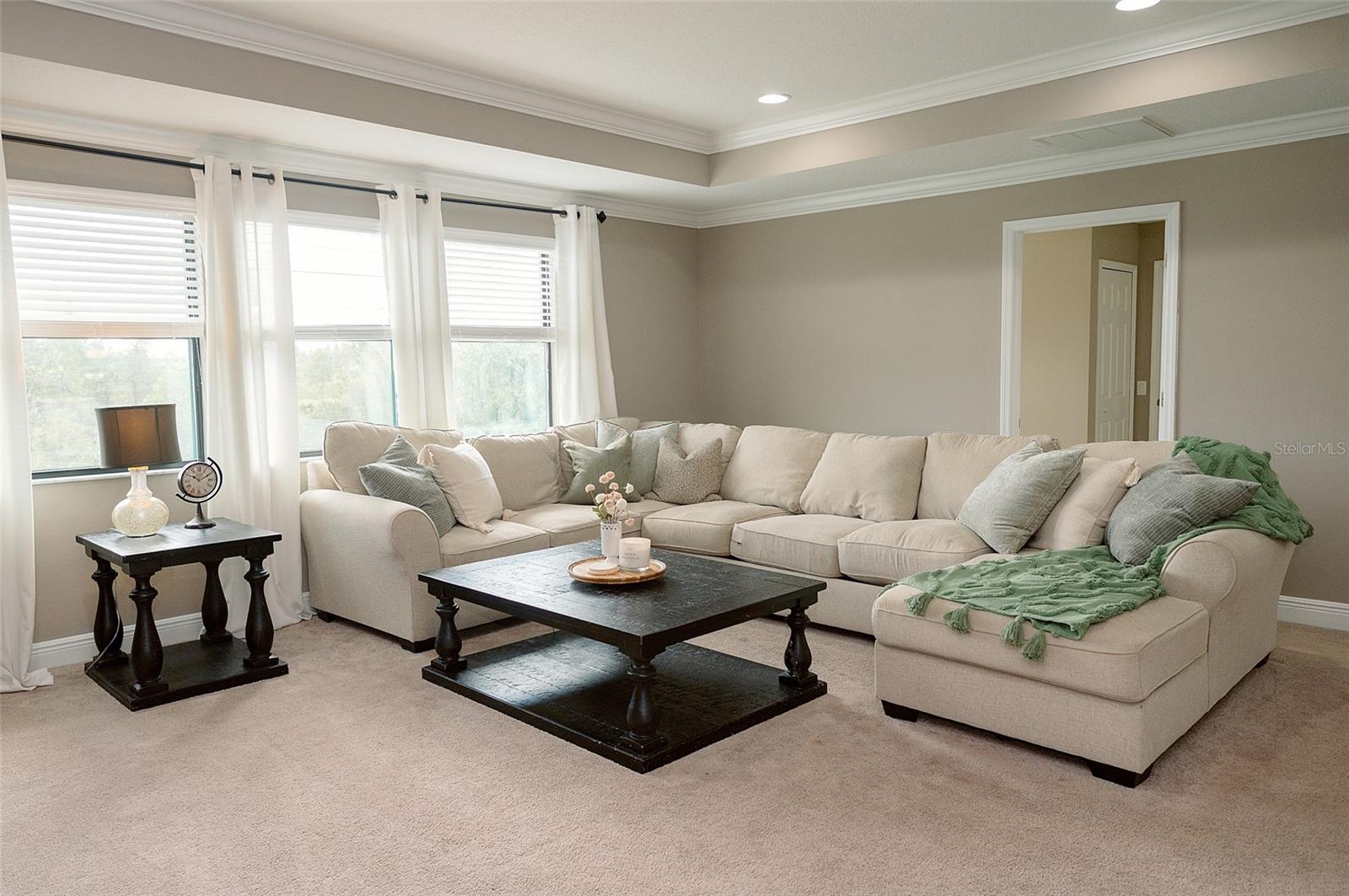 1970 FOX GRAPE LOOP, LUTZ, FL, 33558