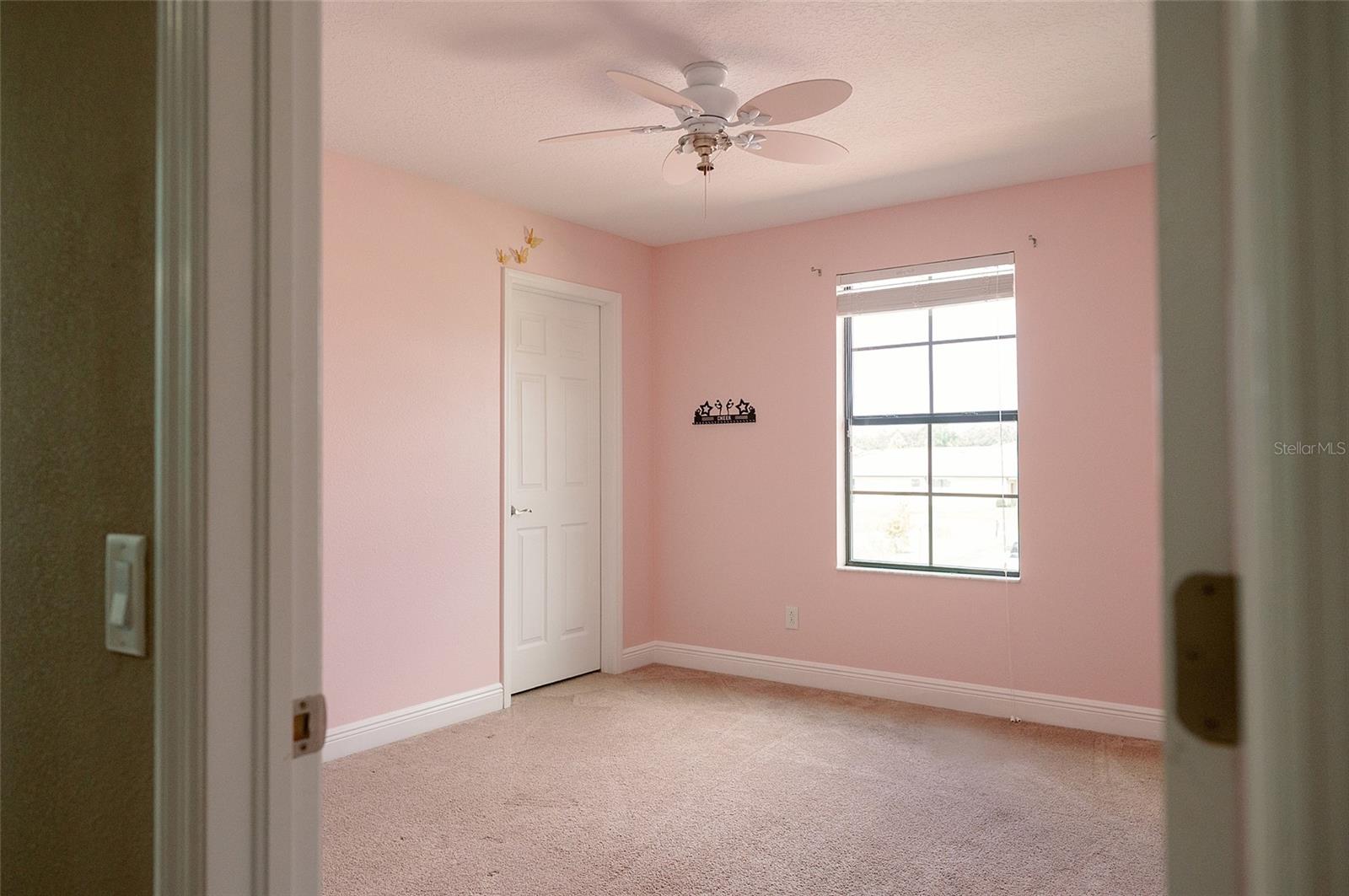 1970 FOX GRAPE LOOP, LUTZ, FL, 33558