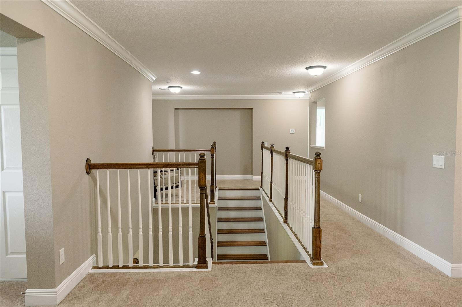 1970 FOX GRAPE LOOP, LUTZ, FL, 33558