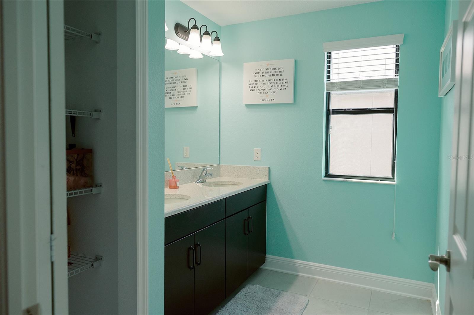 1970 FOX GRAPE LOOP, LUTZ, FL, 33558