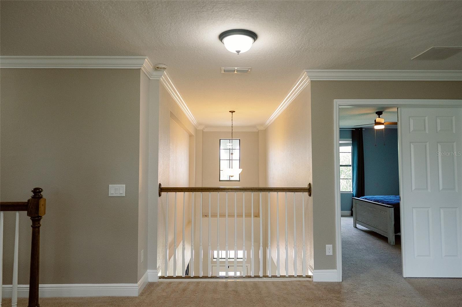 1970 FOX GRAPE LOOP, LUTZ, FL, 33558